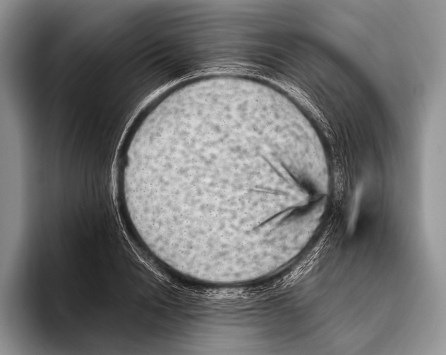 X0000095940846200802081236