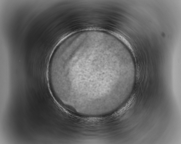 X0000095940847200802081236