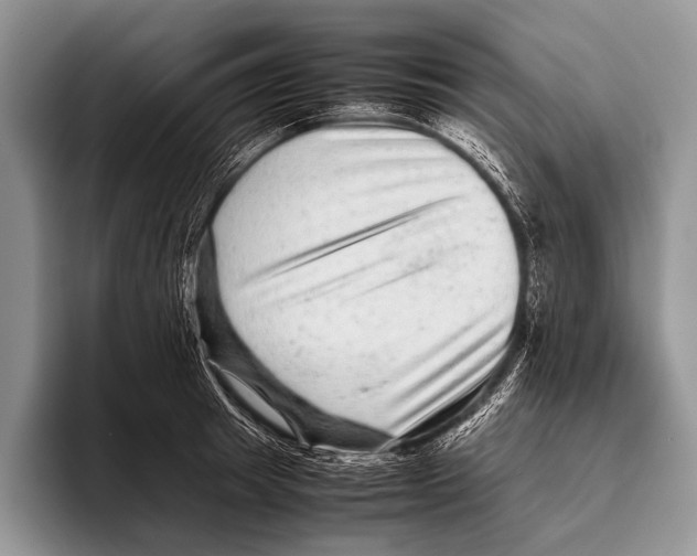 X0000095940849200802081236