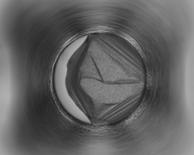 X0000095940850200802081236