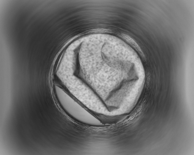 X0000095940852200802081236