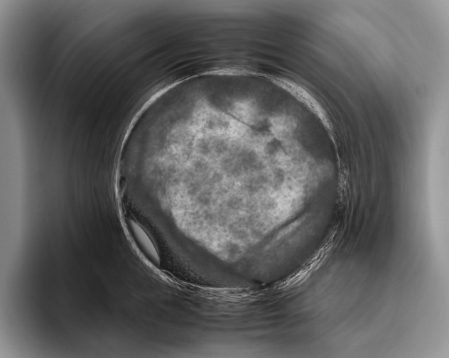 X0000095940855200802081236