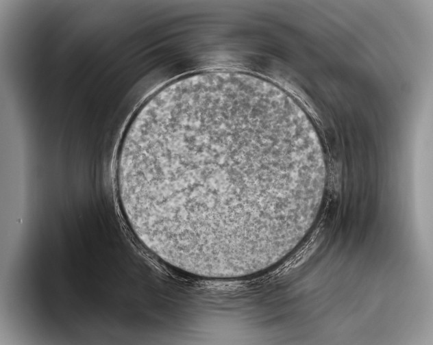 X0000095940856200802081236