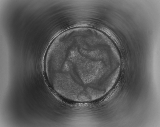 X0000095940858200802081236