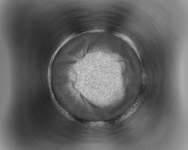 X0000095940859200802081236