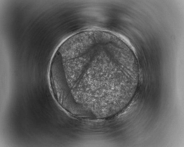 X0000095940863200802081236