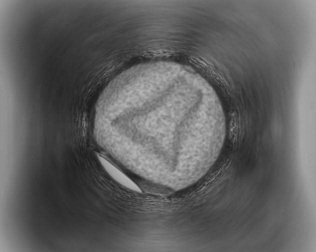 X0000095940866200802081235