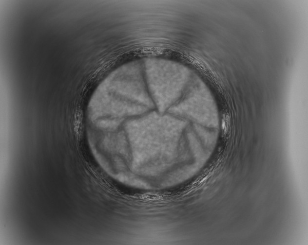 X0000095940867200802081235