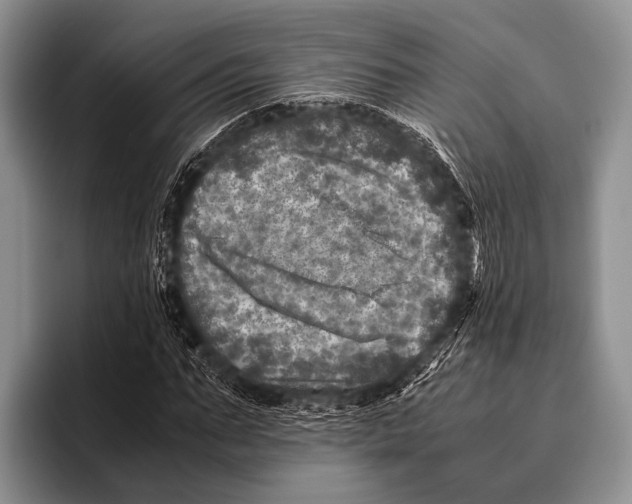 X0000095940871200802081235