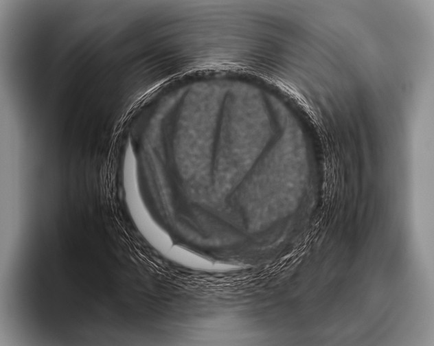 X0000095940872200802081235