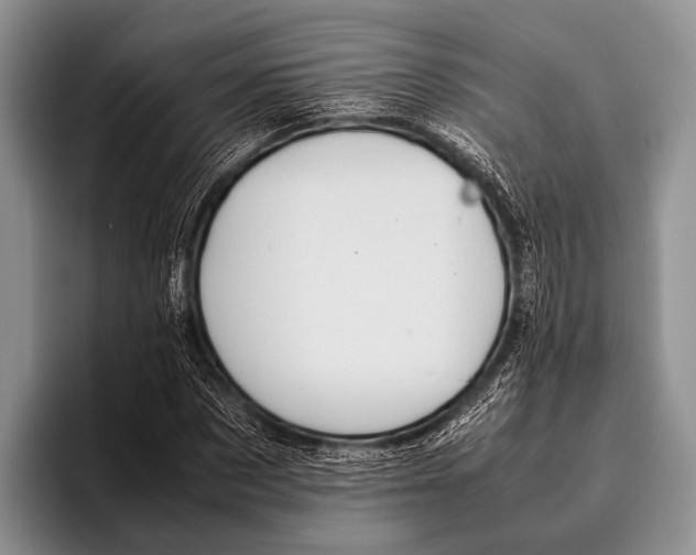 X0000095940873200802081235