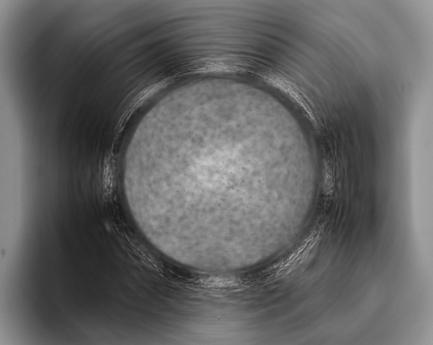 X0000095940874200802081235