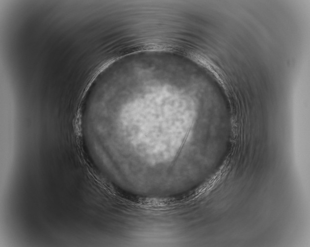 X0000095940875200802081235