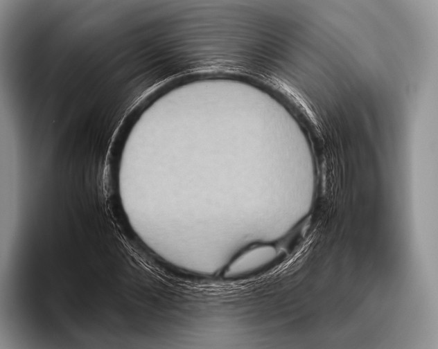 X0000095940876200802081235