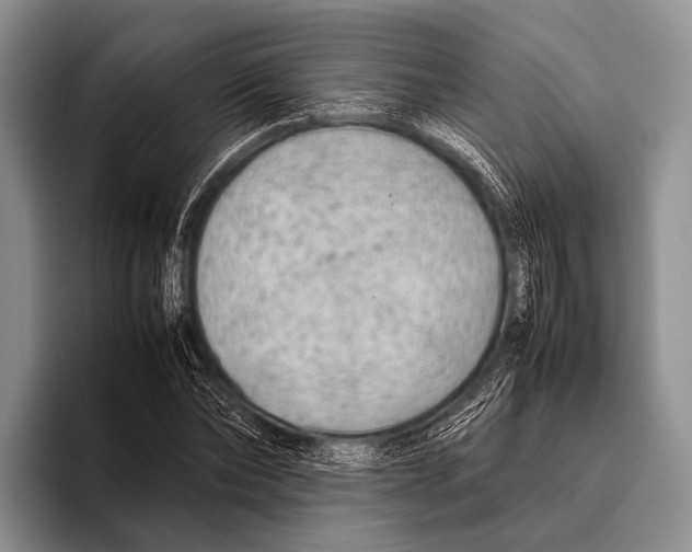 X0000095940878200802081235