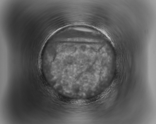 X0000095940879200802081235