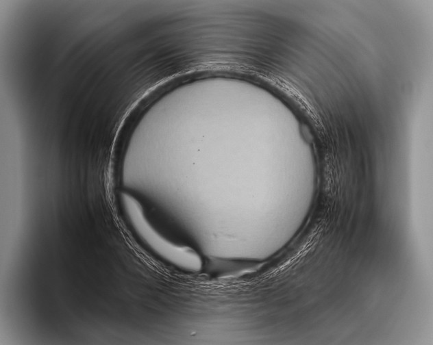 X0000095940880200802081235