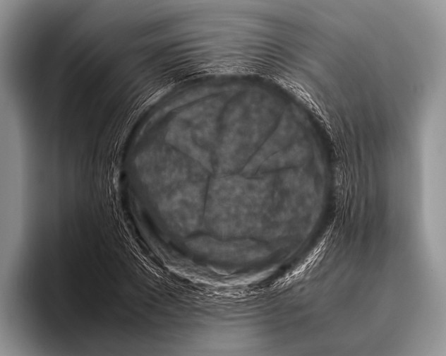 X0000095940881200802081235