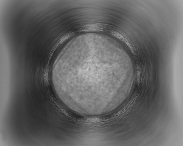 X0000095940882200802081235