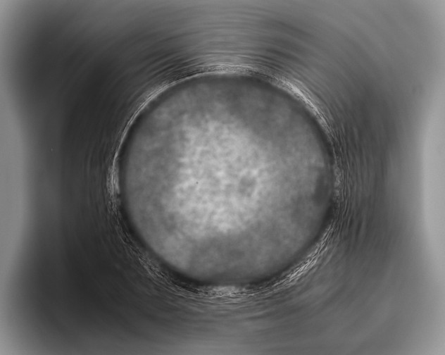 X0000095940883200802081235