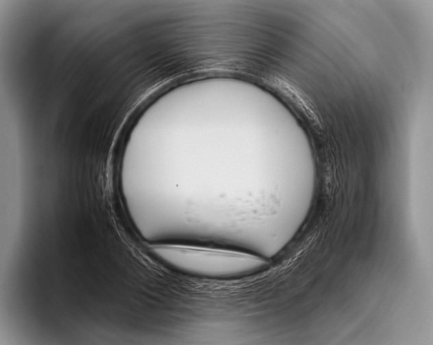 X0000095940884200802081235