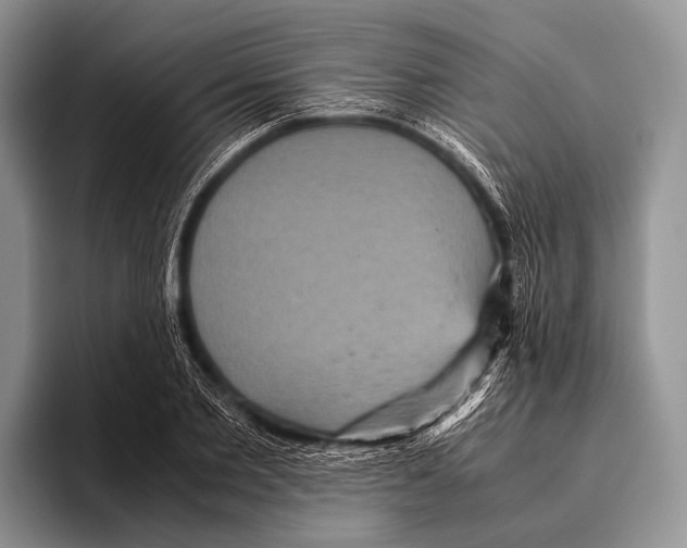 X0000095940885200802081235