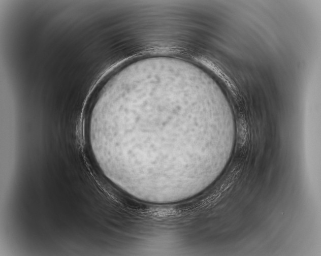 X0000095940886200802081235