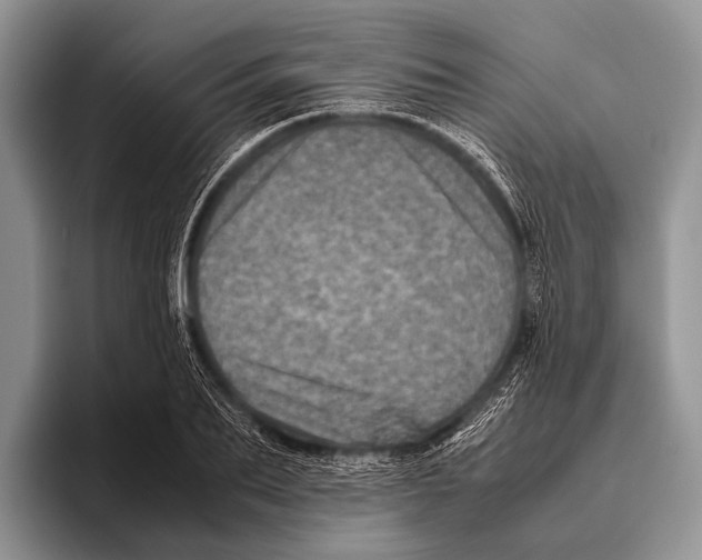 X0000095940887200802081235