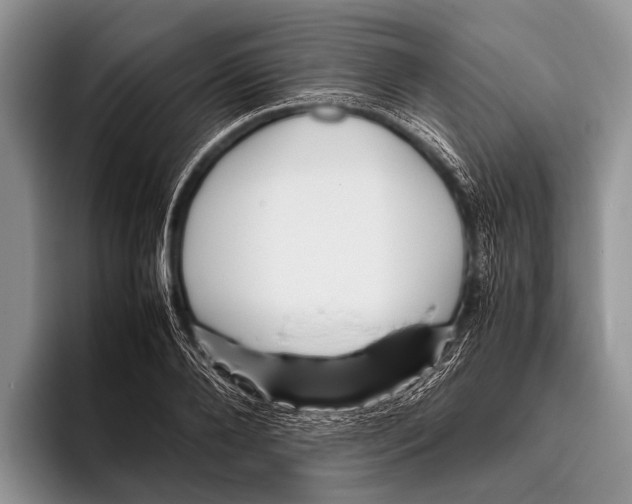 X0000095940888200802081235