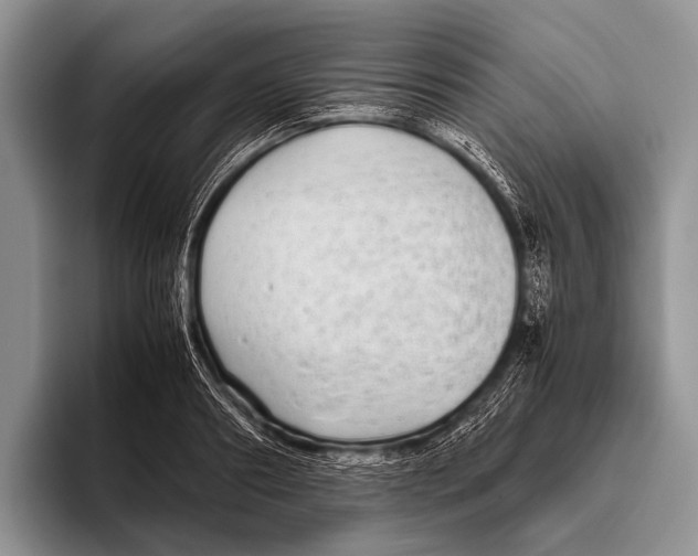 X0000095940890200802081235