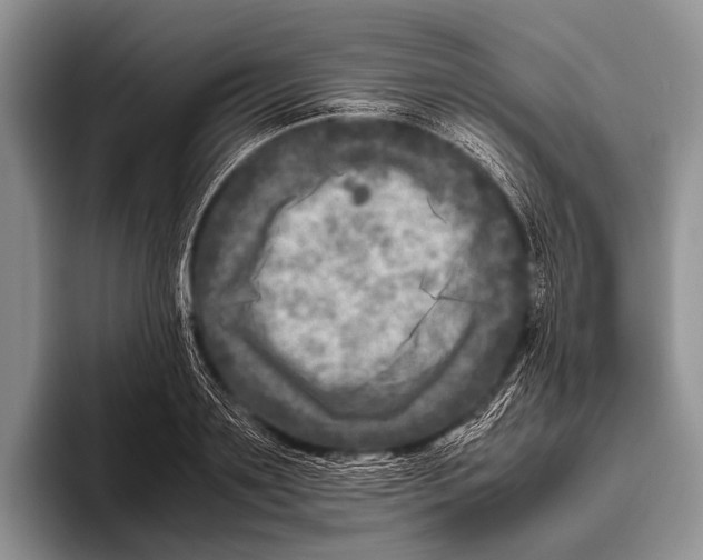 X0000095940891200802081235