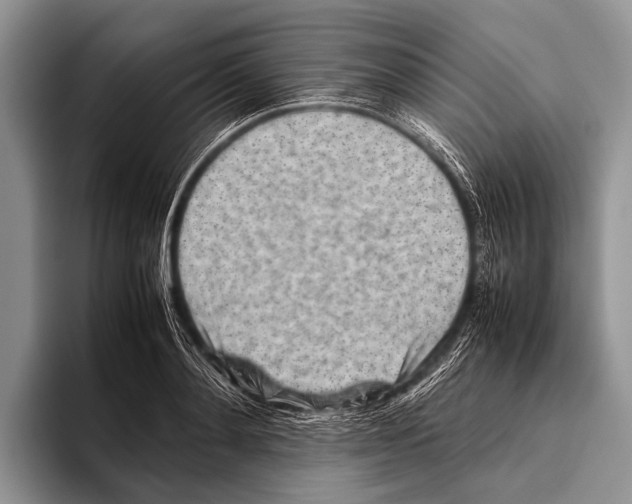 X0000095940892200802081235