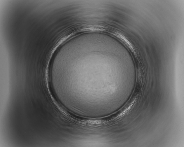 X0000095940893200802081235