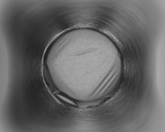 X0000095940894200802081235