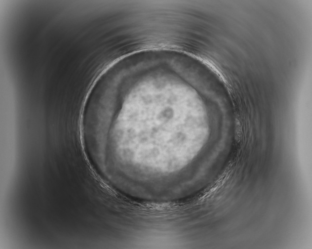 X0000095940895200802081235