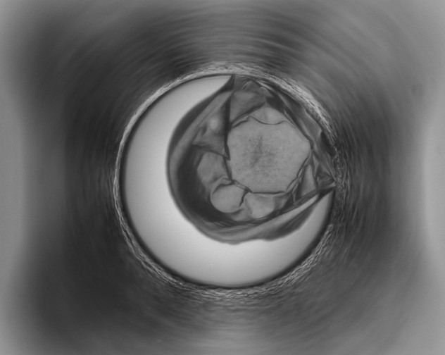 X0000095940896200802081235