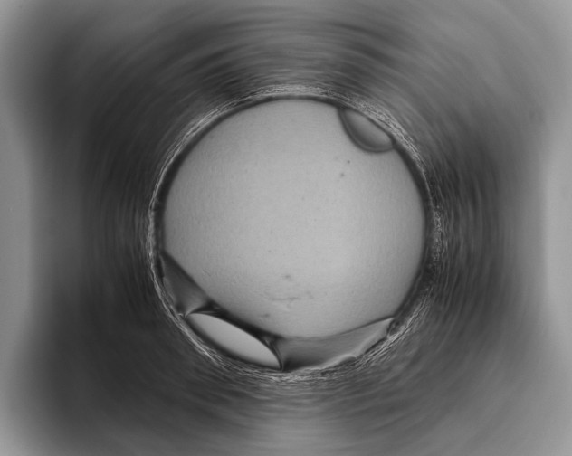 X0000095940898200802081235