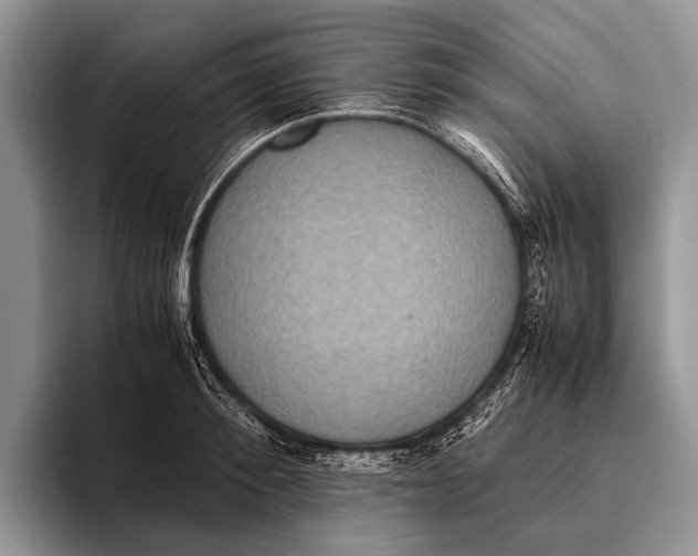 X0000095940900200802081235