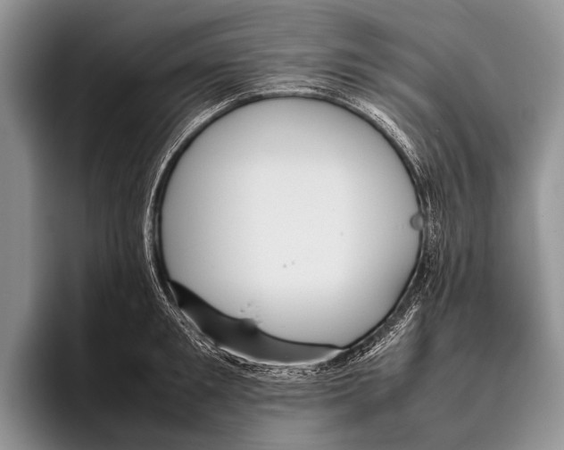 X0000095940901200802081235