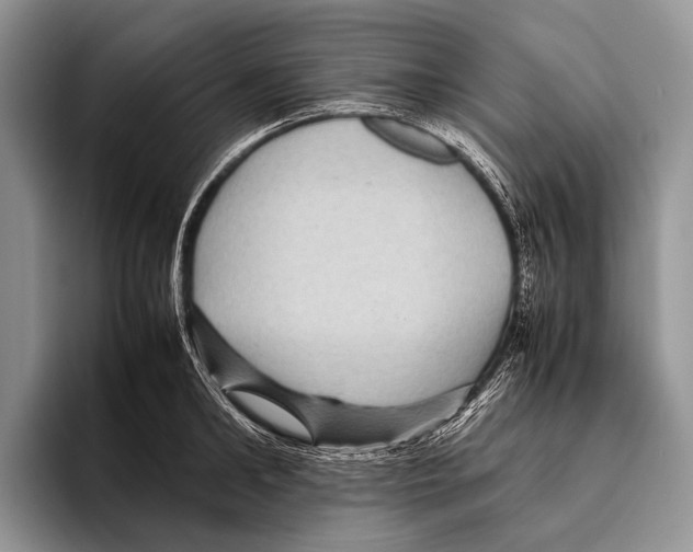 X0000095940902200802081235