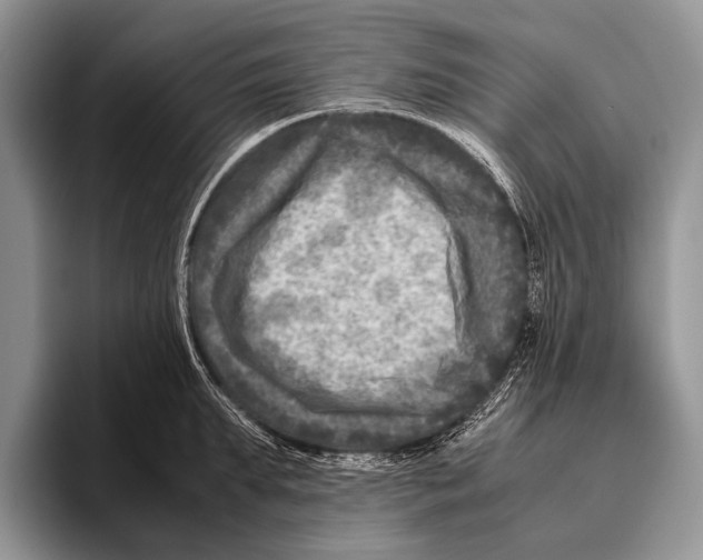 X0000095940903200802081235