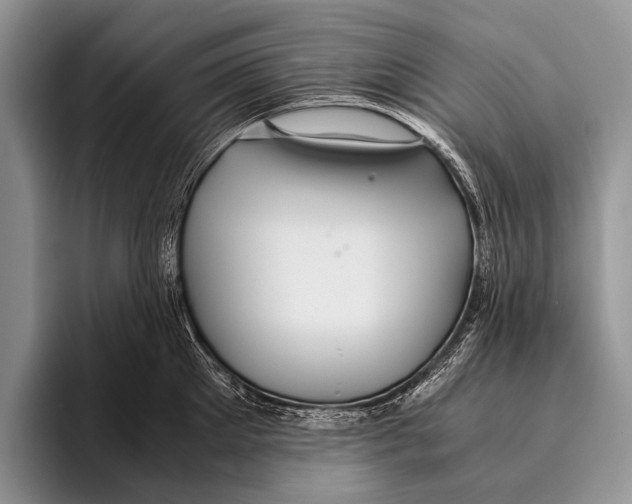 X0000095940905200802081235