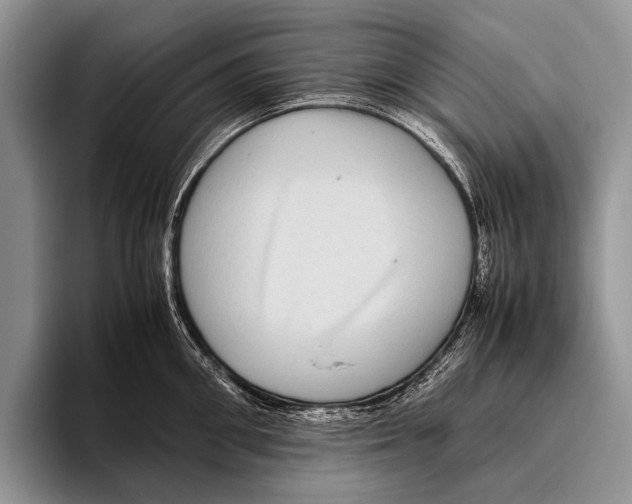 X0000095940906200802081235