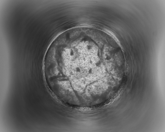 X0000095940907200802081235