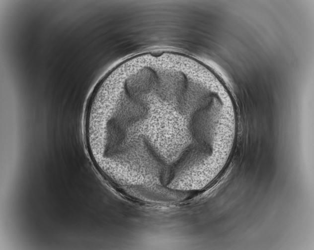 X0000095940910200802081235