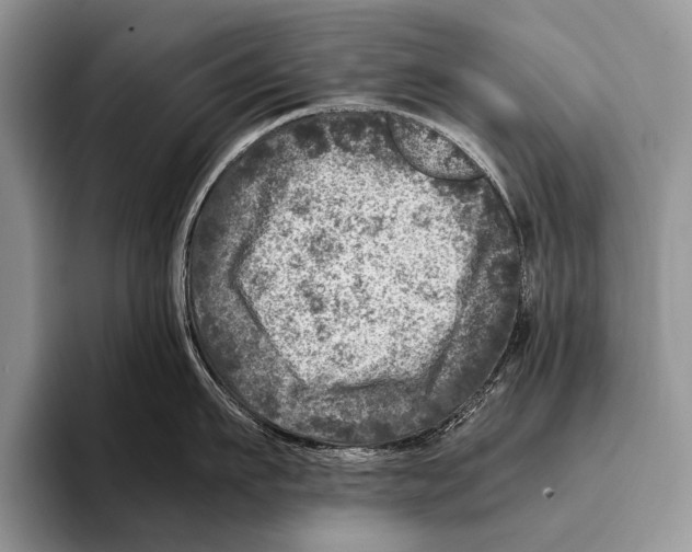 X0000095940911200802081235