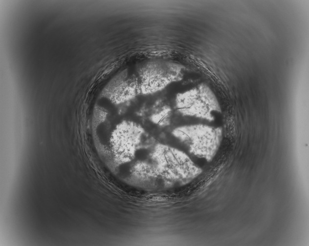 X0000095940913200802081234