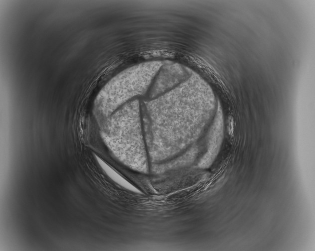 X0000095940915200802081234