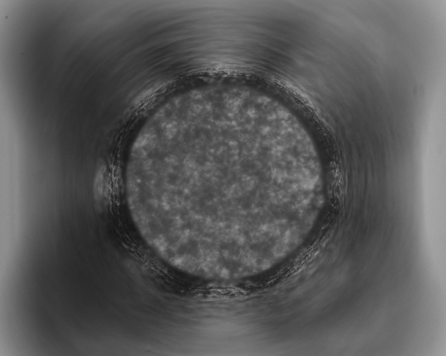 X0000095940918200802081234