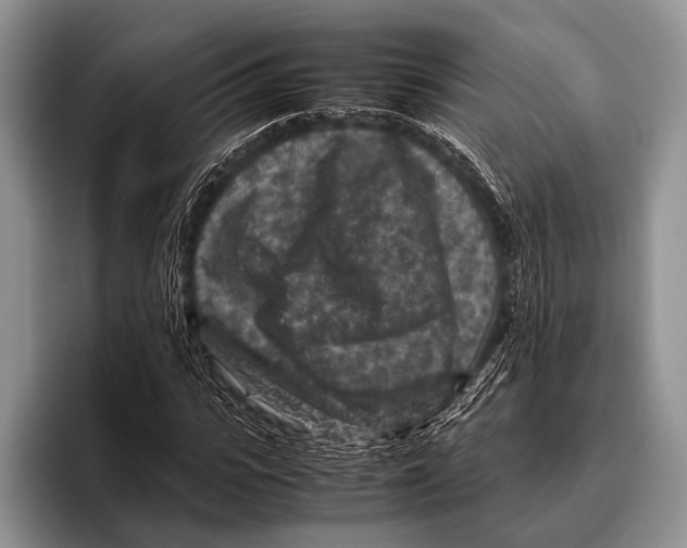 X0000095940919200802081234